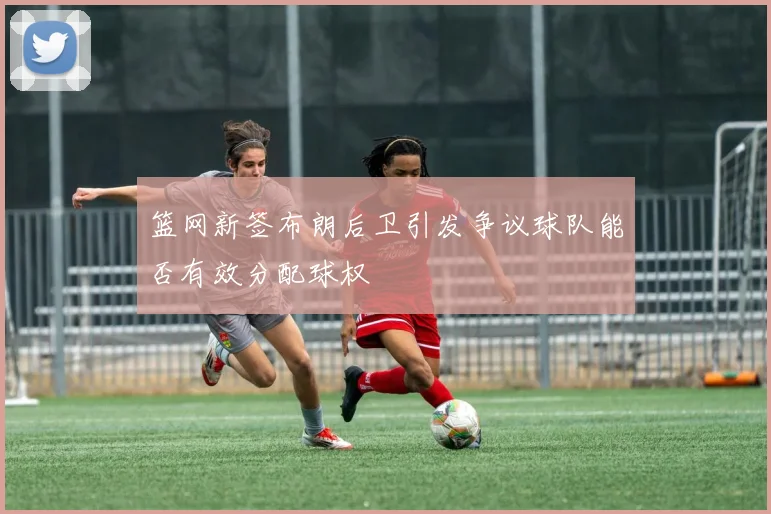 篮网新签布朗后卫引发争议球队能否有效分配球权